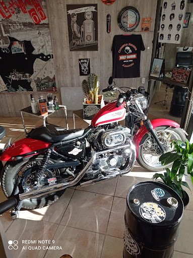 Pelos 2 - Thumbnail