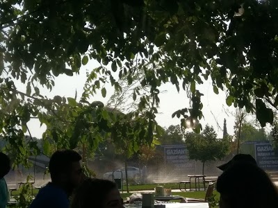 Photos of Starlife Cafe