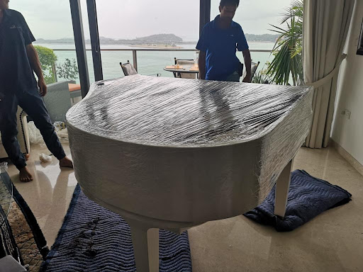 Phoenix Mover Pte Ltd - Thumbnail