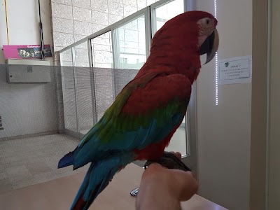 veterinary-care