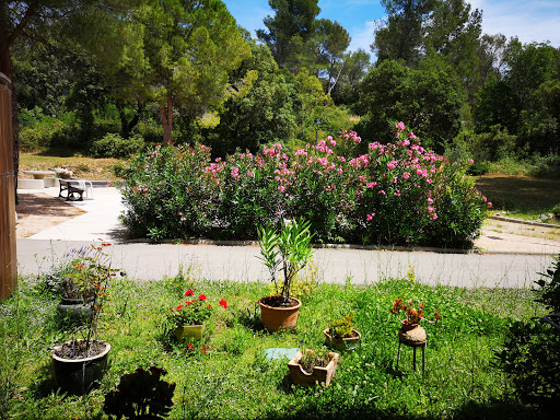 Photo de EHPAD Henri Bellon à Mollégès (13940)