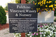Fulchino Vineyard, Hollis, United States