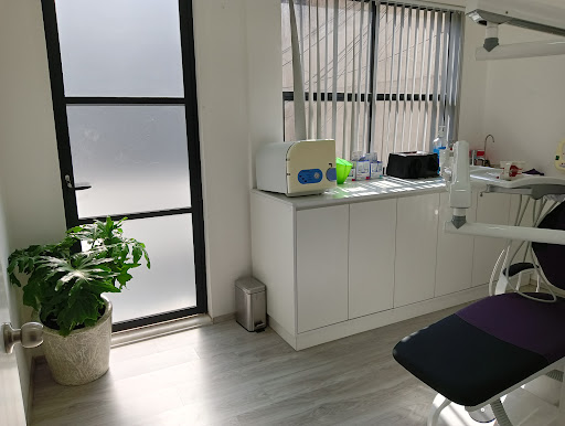 Especialista Dental