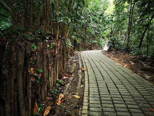 Bukit Batok Nature Park - Thumbnail
