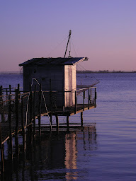 Photo n°44 de Camping Municipal Gabarreys à Pauillac (Terrain de camping)