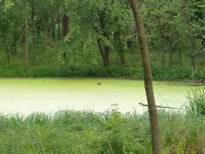 Salt Creek Woods Nature Preserve