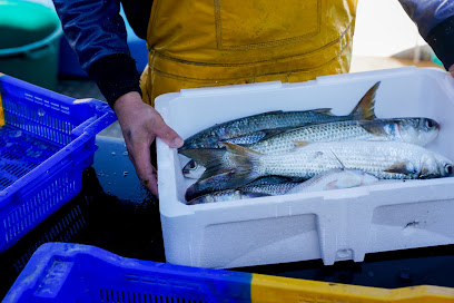Côté Fish