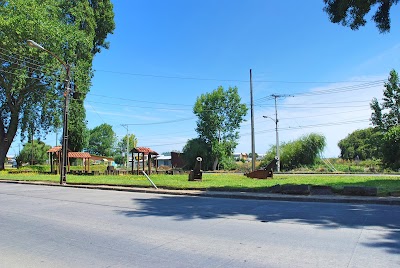 Photos of Hoster&iacute;a Arauco