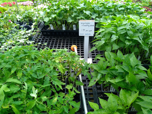 Kilmer's Kountry Greenhouse - Thumbnail