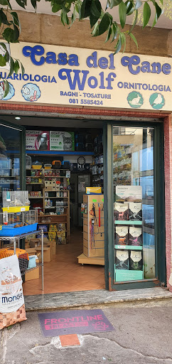 Casa del cane Wolf
