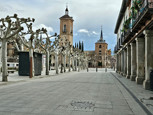 Escudo más antiguo de Alcalá de Henares