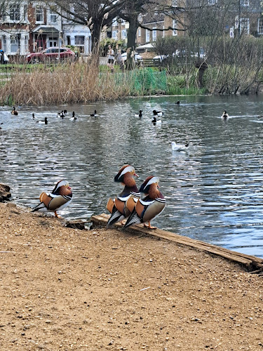 Barnes Green Open Times