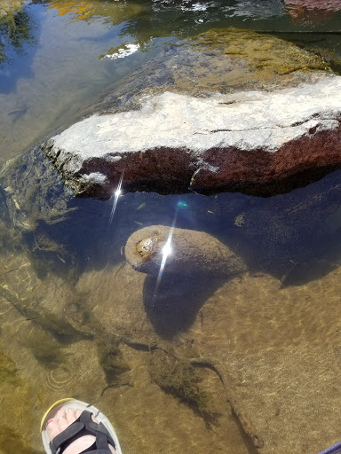 Whiskey Creek Campground - Thumbnail