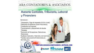 ARA CONTADORES & ASOCIADOS S.A.C 3