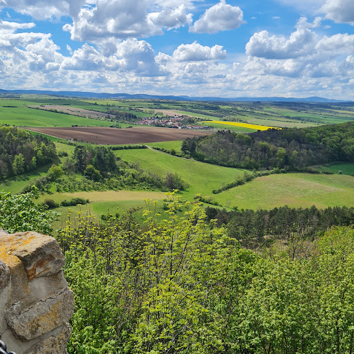 Wachsenburg Castle - Visual