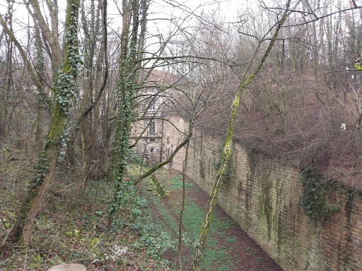Dardilly Poudre et Flêches - Thumbnail
