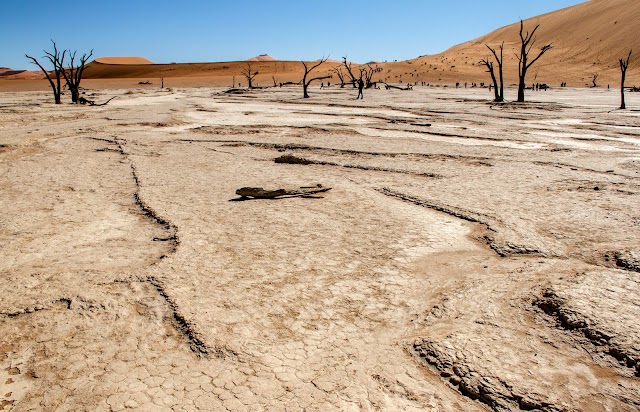 Dead Vlei