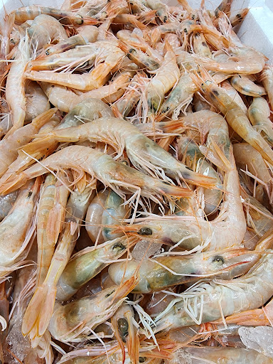 Cash & Carry - OROBICA PESCA - Thumbnail
