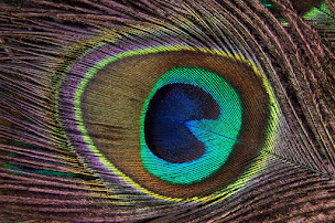 Photo n°1 de Com' la plume à Champs-sur-Marne (Agence de relations publiques)