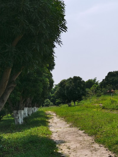 绍里木，鱼场，鸭子，兔子