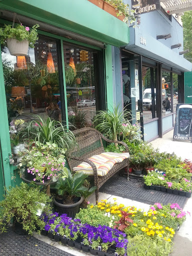 Flowers on Essex