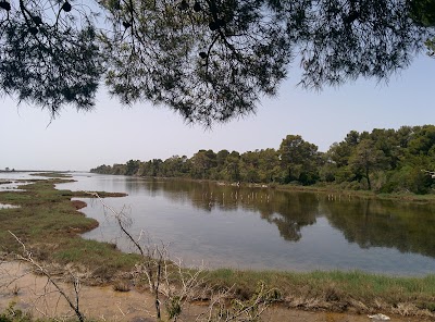 Photos of Karavasta Lagoon