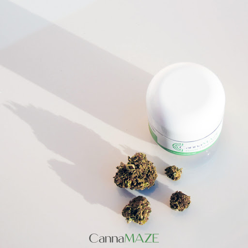 CannaMAZE Gallery - United States