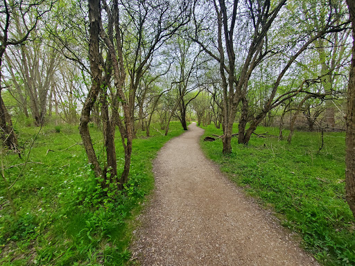 Buckeye Woods Park - Thumbnail