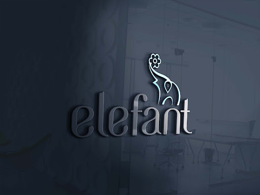 Elefant - Visual