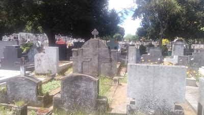 Photos of Central Cemetery
