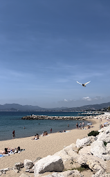 Photo n°3 de Savills Cannes à Cannes (Agence de location immobilière)