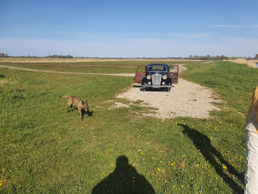 Camping Zonnehoeve Camping Zonnehoeve - Thumbnail