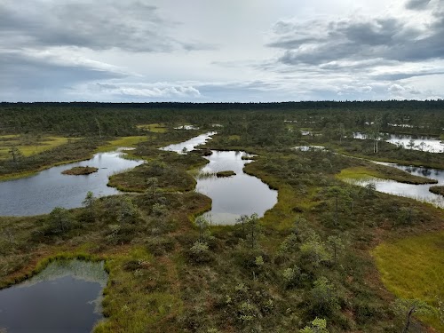 Männikjärve matkarada