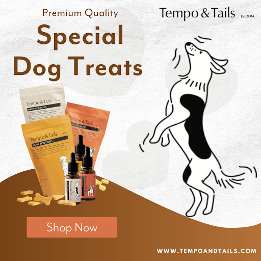 Tempo and Tails - Thumbnail