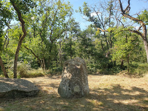 Photo n°9 de Club du Soleil de l'Essonne à D'Huison-Longueville (Terrain de camping)