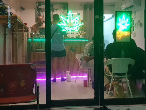 Whum Ganja