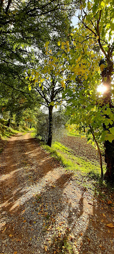Travalle - Thumbnail