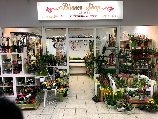 Blumenshop Larissa - Visual