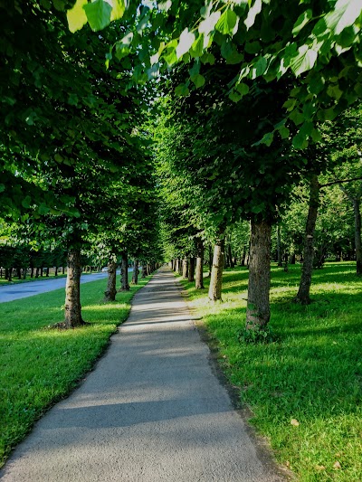 Photos of Lāčplē&scaron;a dārzs