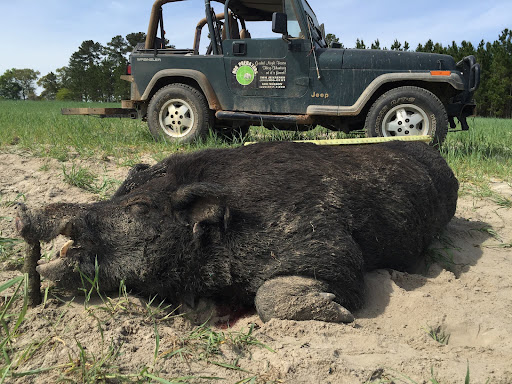 Hogpredators - Visual