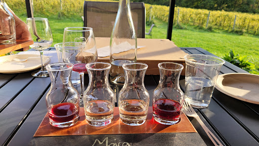 Shelburne Vineyard - Thumbnail