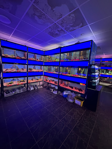 Blue Lagoon Aquatics - Thumbnail