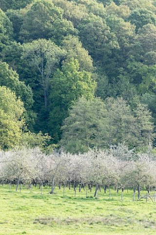 Cidrerie Domaine du Ruisseau by null