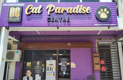 DR.CUTE CAT PARADISE CENTRE