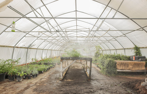 Solomon's Gardens Nursery & Landscaping - Thumbnail