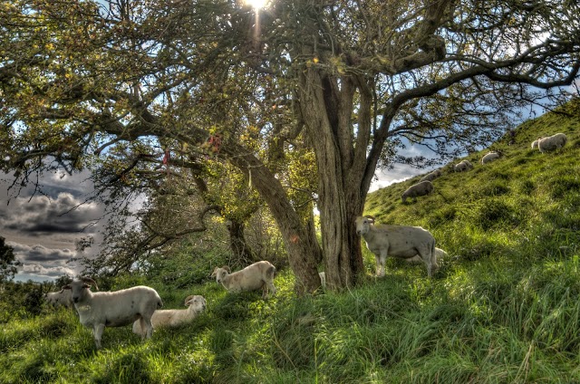 Glastonbury Tor