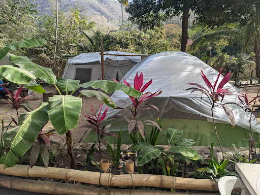 Passion Flower Garden