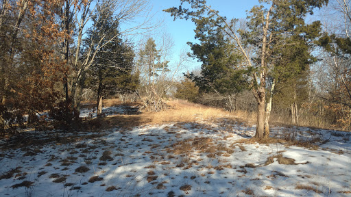 Juniper Hill - Visual