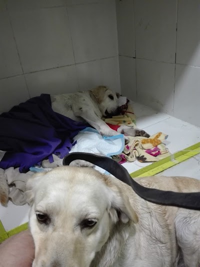 Photos of Veterinary Clinic CEMVET