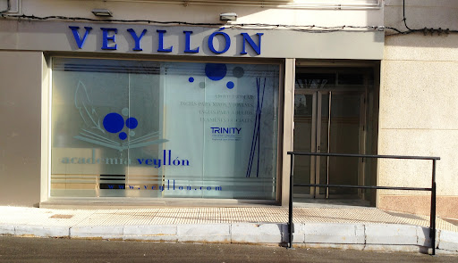 Veyllon - Visual